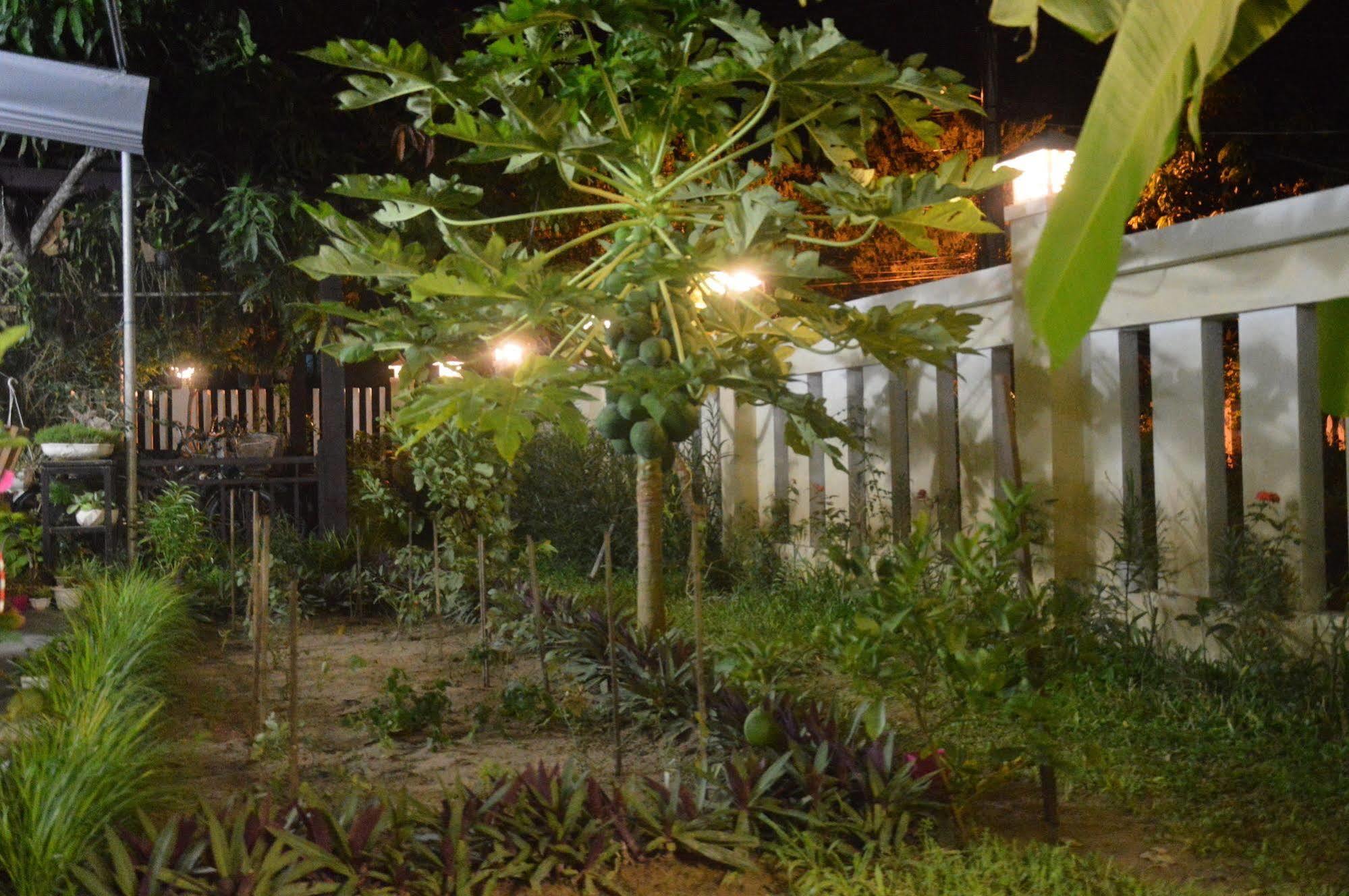 Hoian Joy Homestay Хойан Экстерьер фото